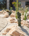 Spiral Cactus (Cereus Forbesii Spiralis) - 75 cm